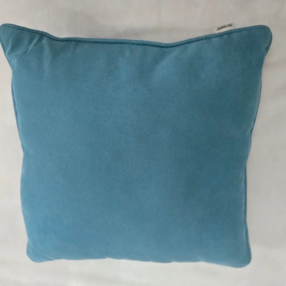 Pier 1 Imports Teal Accent Pillow